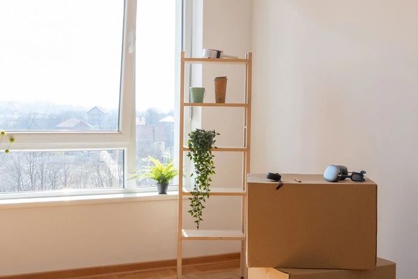 Move-Out Cleanouts
