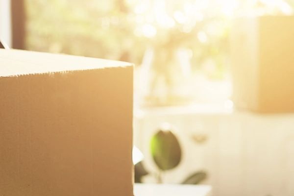 Moving crew carrying boxes in NYC apartment building